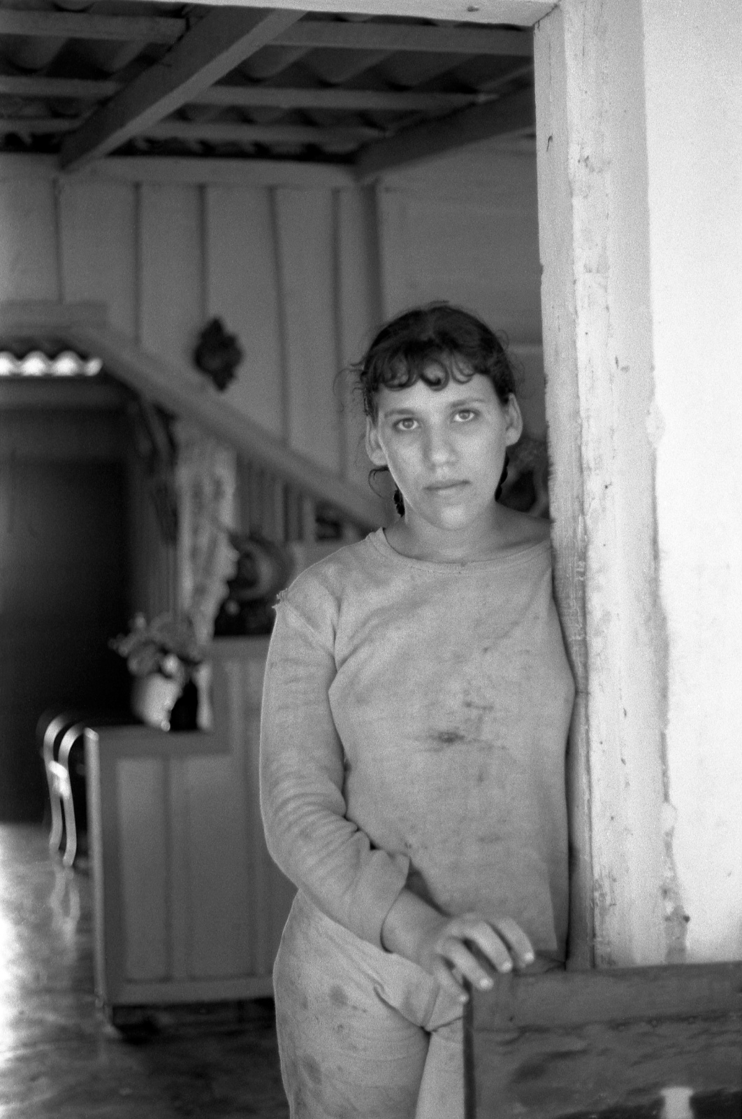 Vignales. Los Aquaticos 2